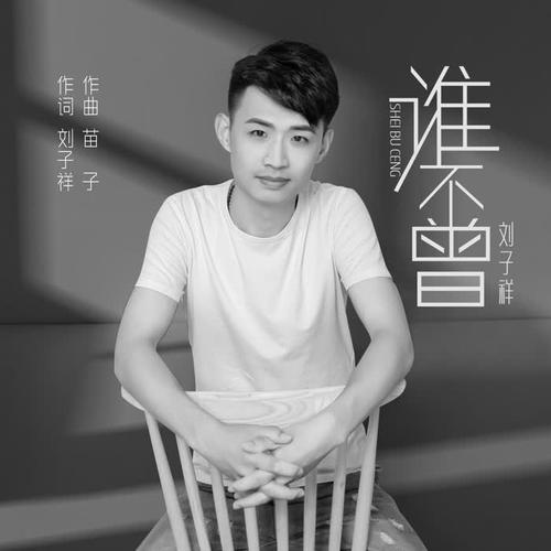 谁不曾的专辑