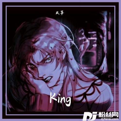 Kingcover:风筝