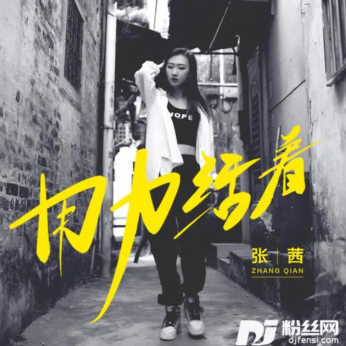 用力活着DJ沈念版的专辑