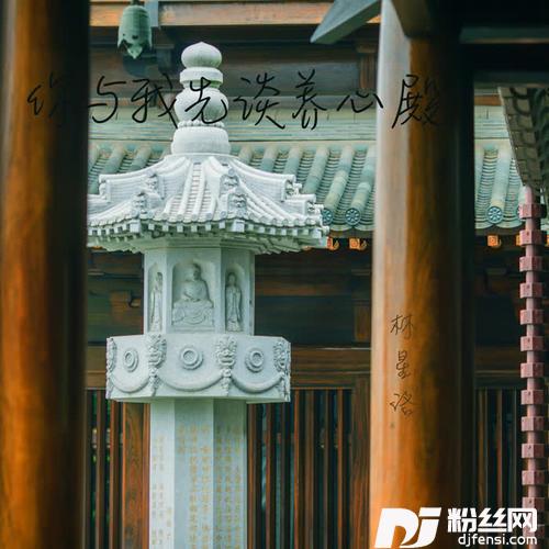 你与我先谈养心殿降速版