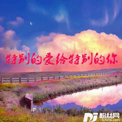 特别的爱给特别的你DJ阿韾版