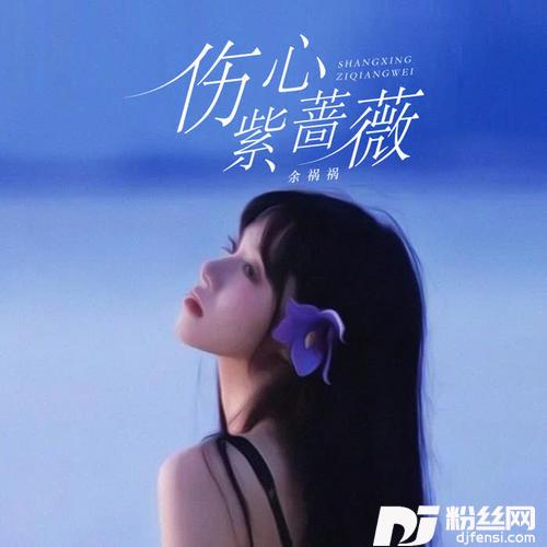 伤心紫蔷薇