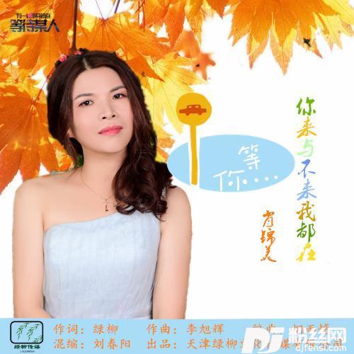 你来与不来我都在等你的专辑