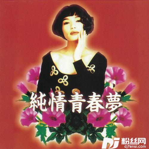 纯情青春梦