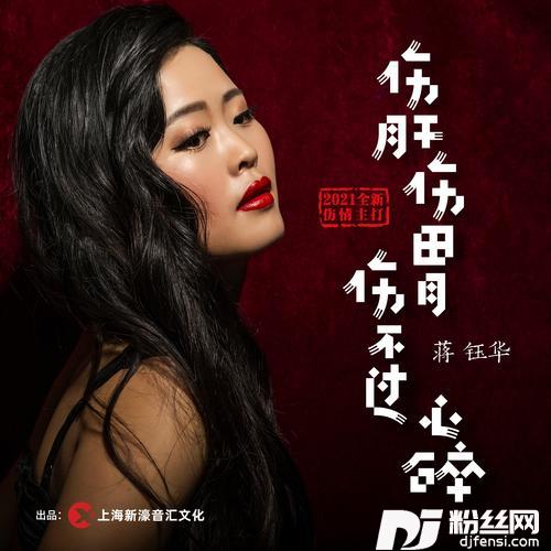 伤肝伤胃伤不过心碎（DJ沈念版）