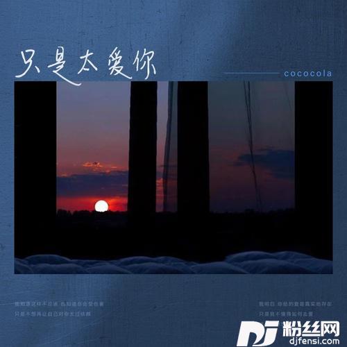 只是太爱你