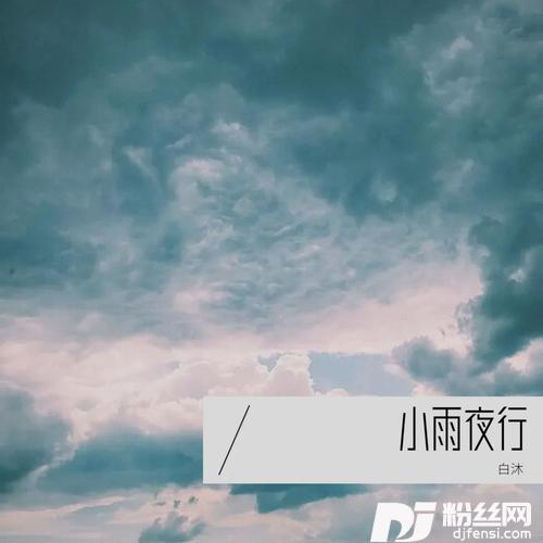 小雨夜行