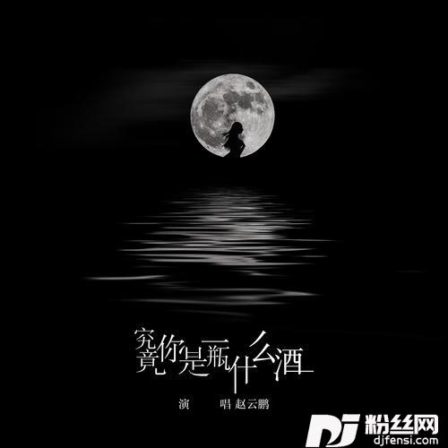 究竟你是一瓶什么酒的专辑
