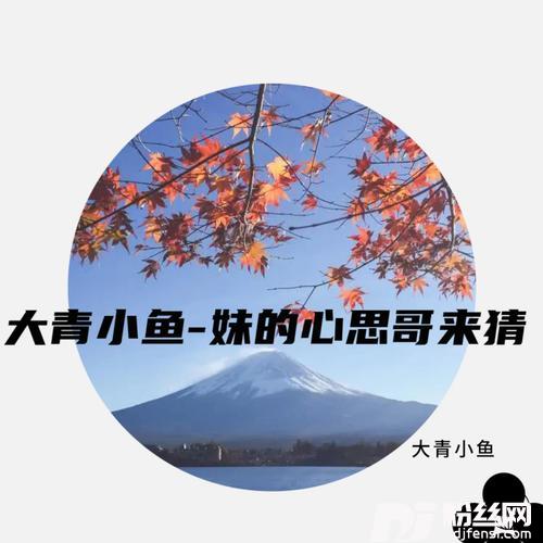 妹的心思哥来猜独唱cover:红袖