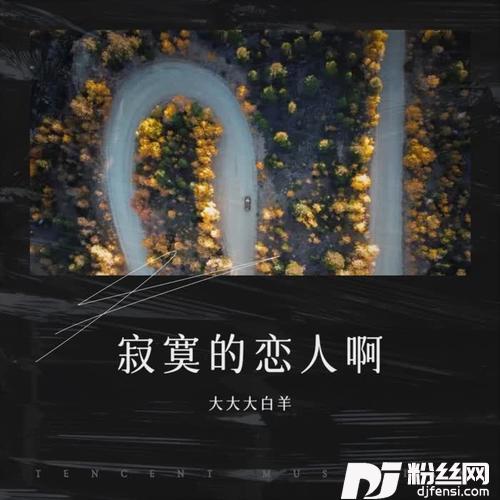 金风玉露cover:旅行新蜜蜂