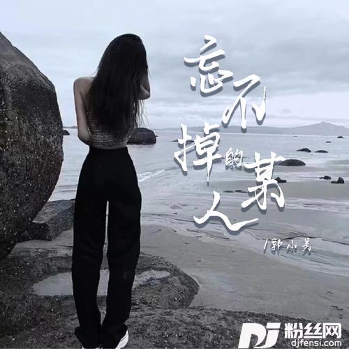 忘不掉的某人的专辑