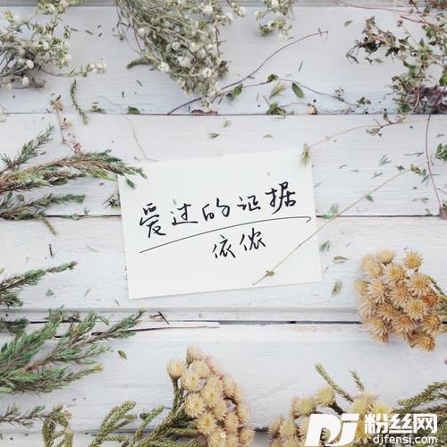 爱过的证据