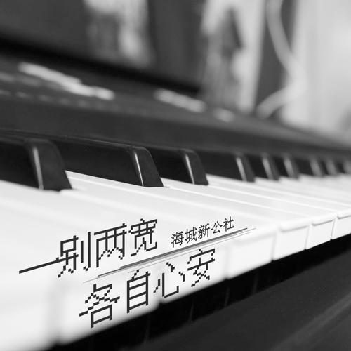 一别两宽各自心安的专辑