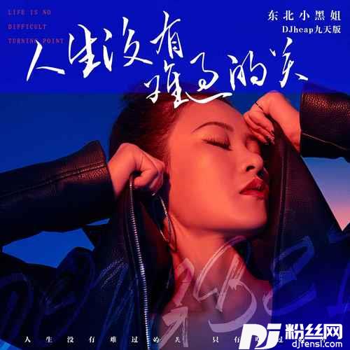 人生没有难过的关DJheap九天版的专辑