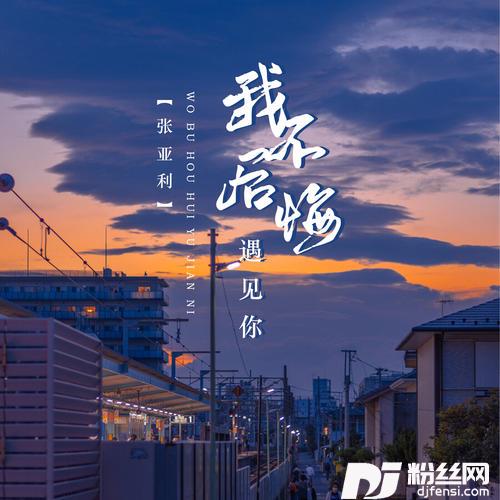 我不后悔遇见你的专辑