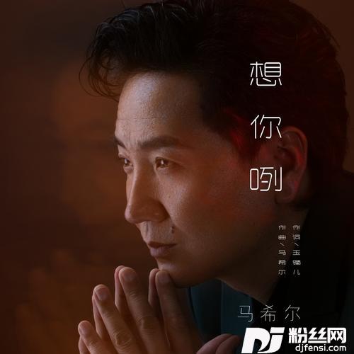 邂逅宁夏豪情版的专辑