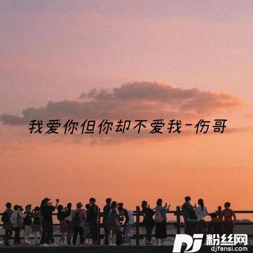 我爱你但你不爱我