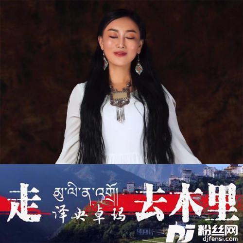 走·去木里