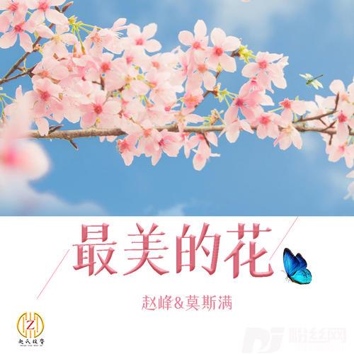 最美的花DJ小刚对唱版的专辑