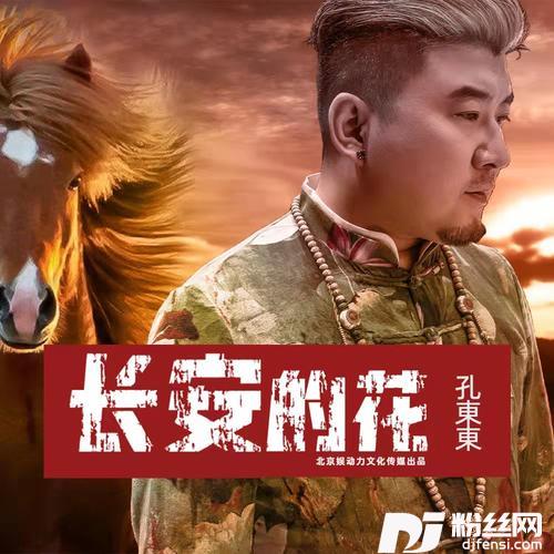 长安的花DJ阿卓版