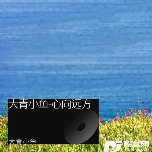 心向远方cover:海来阿木