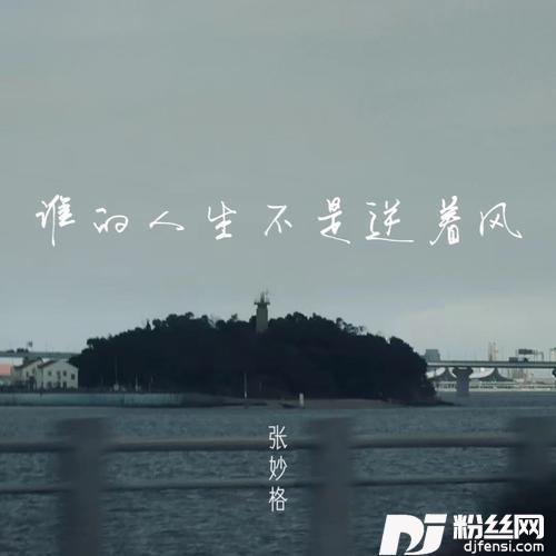 谁的人生不是逆着风