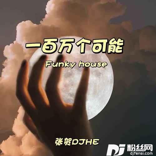 一百万个可能Funkyhouse的专辑