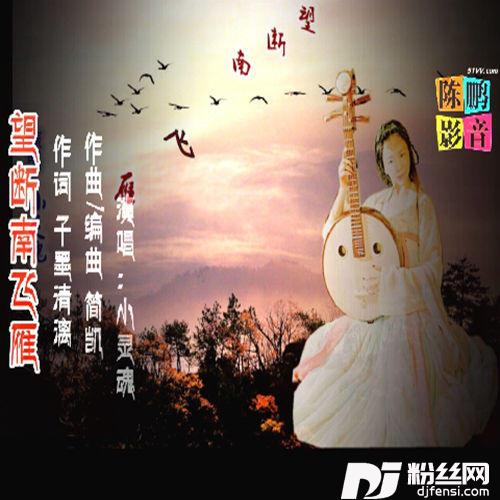 望断南飞雁