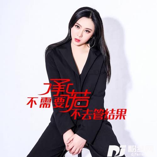 不需要承诺不去管结果DJ何鹏版