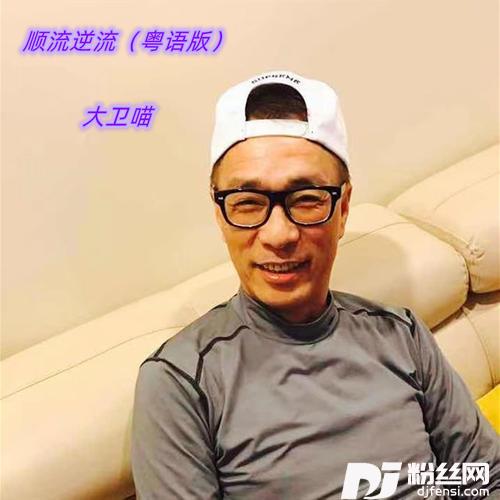 顺流逆流粤语版的专辑