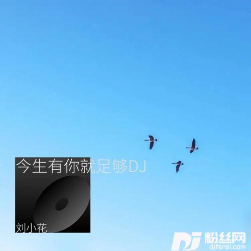 言而无信cover:安儿陈的专辑