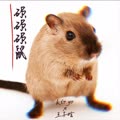 硕硕硕鼠