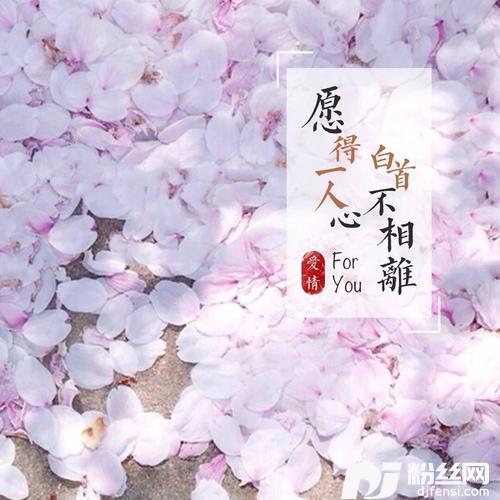 回忆里的那个人cover:超越小桃红