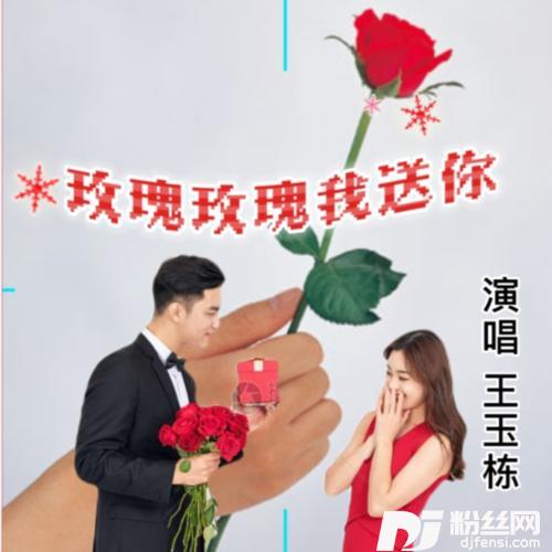玫瑰玫瑰我送你