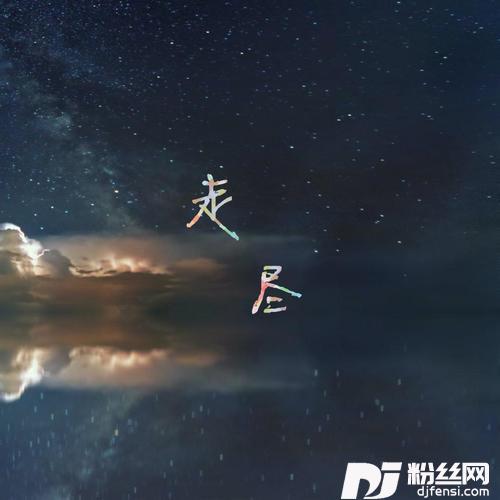 走尽女声版的专辑