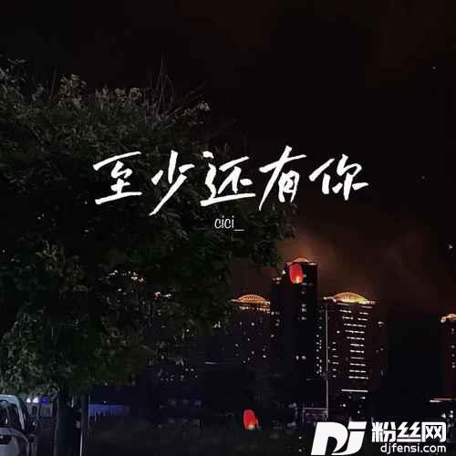 至少还有你DJ版的专辑