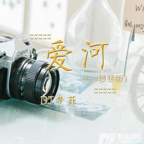 爱河DJ梦菲版的专辑