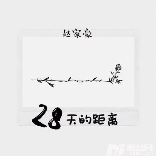 28天的距离