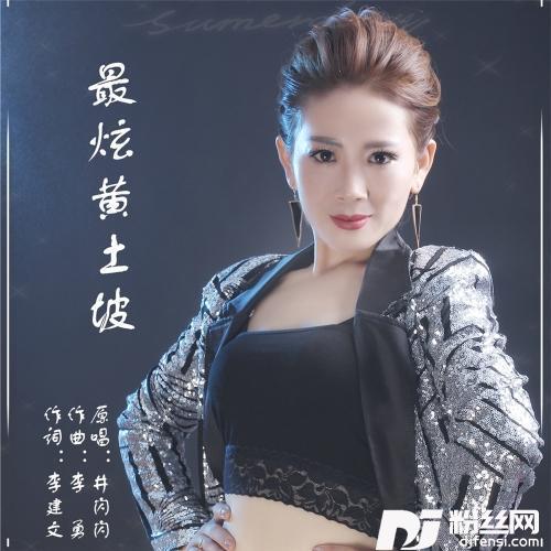 最炫黄土坡DJ版的专辑