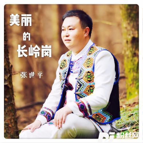 美丽的长岭岗