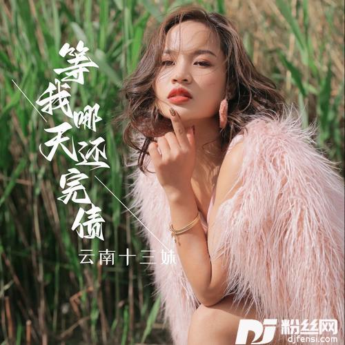 满山情歌的专辑