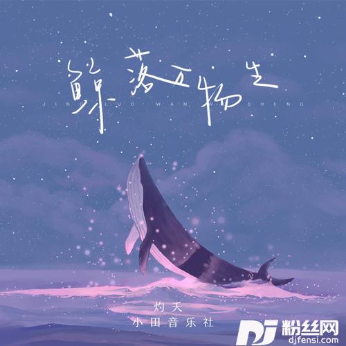 鲸落万物生
