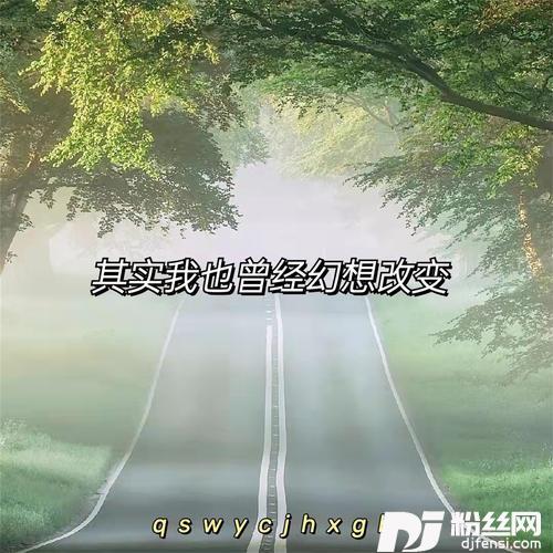 其实我也曾经幻想改变DJ完整版