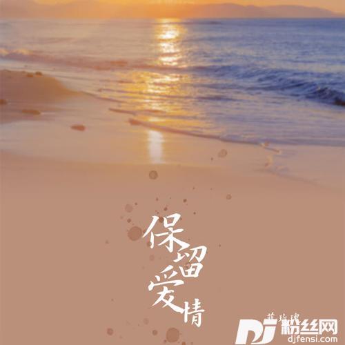 保留爱情DJ可乐版的专辑