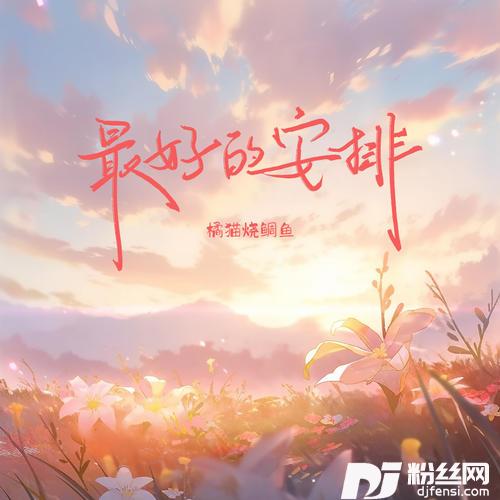 最好的安排的专辑