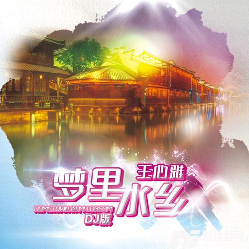 梦里水乡DJ浪子康版的专辑