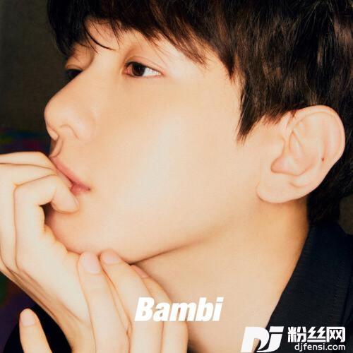 Bambicover:伯贤백현