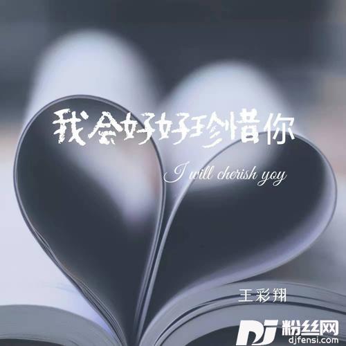 我会好好珍惜你的专辑