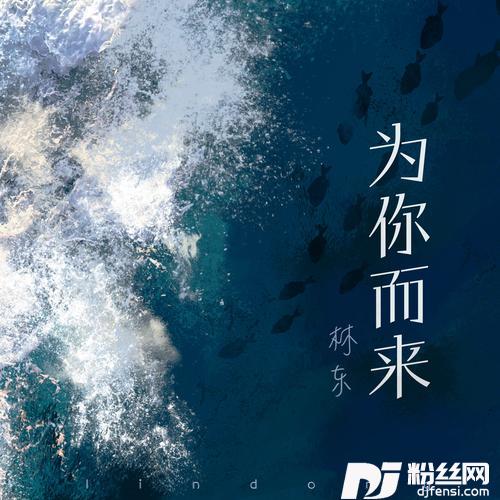 为你而来的专辑