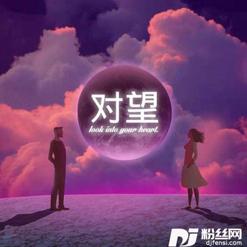 对望DJ版的专辑